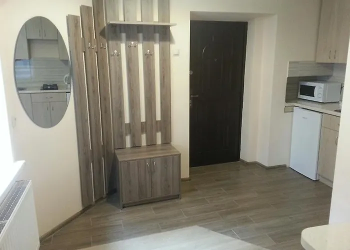 Balabana Street Apartment Lemberg